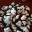 Chocolate Crinkles