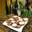 Chocolate Pecan Marshmellow cookie Chocolate Pecan Marshmellow cookie