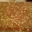 Chocolate Protein Bars