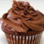 Chocolate Sour Cream Cupcakes with Chocolate Buttercream