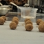 Chocolate Truffles