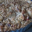Country Apple Tart