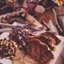 Country-Style Ribs with Jalapeno-Peach Sauce