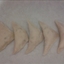 Crab Rangoon Crab Rangoon