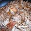 Crockpot Carnitas