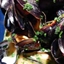 Delicious Mussels in Coconut and White Wine