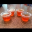 Jello Shots - Dreamsicle Jello Shots - Dreamsicle