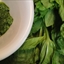 Eleyna's Spinach Basil Pesto Eleyna's Spinach Basil Pesto