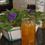 English Orange Marmalade English Orange Marmalade