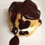 Fast Fudge Sauce