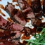 Fillet with Maple Balsamic Wine Sauce Fillet with Maple Balsamic Wine Sauce
