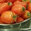Fresh Tomato and Basil Sauce