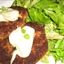 Gateau De Saumon - Salmon Cake