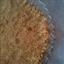 Graham Cracker Pie Crust Graham Cracker Pie Crust