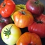 Heirloom Tomato Salad