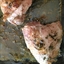 Herb-Roasted Chicken Breasts