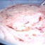 Homemade Yogurt Homemade Yogurt