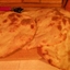 Indian Bread-Naan Indian Bread-Naan