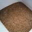 Jamaican Jerk Seasoning