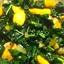 Kale and Parsnips Kale and Parsnips