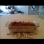 King Crab Imperial