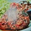 Lamb Chops Herbed & Grilled for Two Lamb Chops Herbed & Grilled for Two