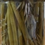LEMON ROSEMARY PICKLED GREEN BEANS