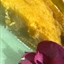 Libbys Famous Pumpkin Pie