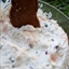 Lox Dip
