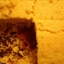 Maple Pecan Corn Bread with Maple Butter