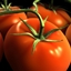 Mozzarella-Stuffed Tomatoes Mozzarella-Stuffed Tomatoes