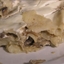North Croatian Mushrooms and pasta casserole