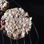 Nut Berry Breakfast Cookies Nut Berry Breakfast Cookies