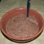 Oatmeal - Crockpot