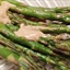 Oven-Baked Asparagus with Mustard Sauce