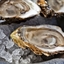 Oysters on the Half Shell