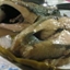 Paksiw Na Isda (Boiled Pickled Fish and Vegetables)