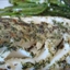 Pan Fried Halibut