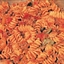 Pasta with Beef and Veggies