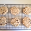 Peanut Butter Chocolate Chip Cookies Peanut Butter Chocolate Chip Cookies