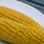 Perfect Corn on the Cob