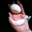 Perfect Peeled Hardboiled Eggs Perfect Peeled Hardboiled Eggs