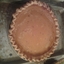 Perfect Pumpkin Pie