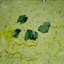 Pesto Cream Sauce Pesto Cream Sauce