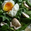 Poached Egg On Spinach, Warm Dressing Poached Egg On Spinach, Warm Dressing
