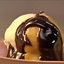 Profiteroles with Vanilla Ice Cream and Chocolate Sauce