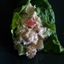 Ranch-y Chicken Salad Wraps Ranch-y Chicken Salad Wraps