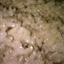 Creamy Mushroom Rice in the Rice Cooker 