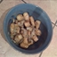 Roasted Parsnips and Onions Roasted Parsnips and Onions