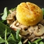 Seared Scallops on Braised Wild Mushrooms
